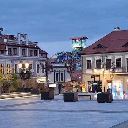 Komfortowy 아파트 *